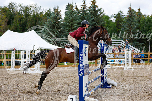 2025 - Haylee - Picco Horse Show - Saturday July 26th 06634