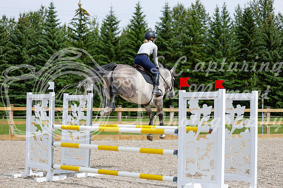 2025 - Haylee - Picco Horse Show - Friay July 25th 04417