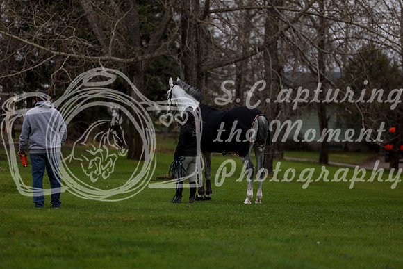 2025 - Shea - Bow Valley II - Thursday May 15th - 00015