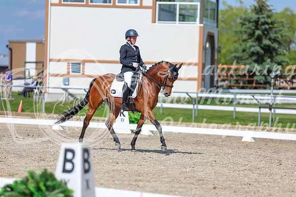 2025 - Dressage Festival - Saturday July 5th - 15506