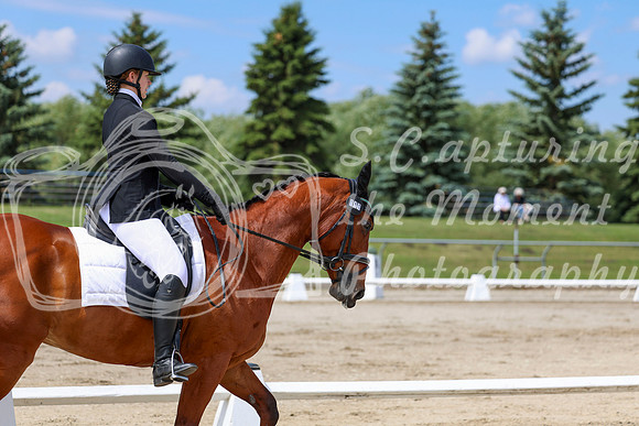 2025 - Dressage Festival - Saturday July 5th - 07288