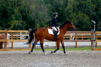 2025 - Haylee - Picco Horse Show - Sunday July 27th 04806