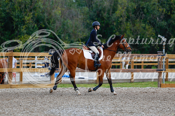2025 - Haylee - Picco Horse Show - Sunday July 27th 04806