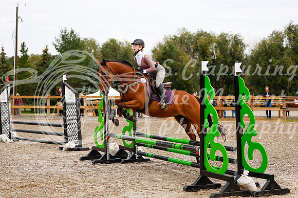 2025 - Haylee - Picco Horse Show - Saturday July 26th 01724