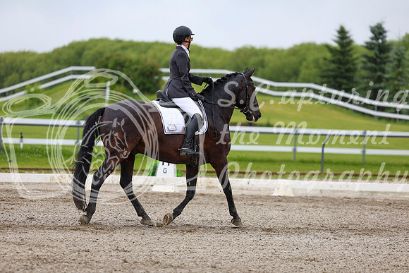 2025 - Dressage Festival - Sunday July 6th - 04555