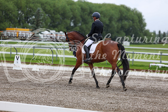 2025 - Dressage Festival - Sunday July 6th - 06692
