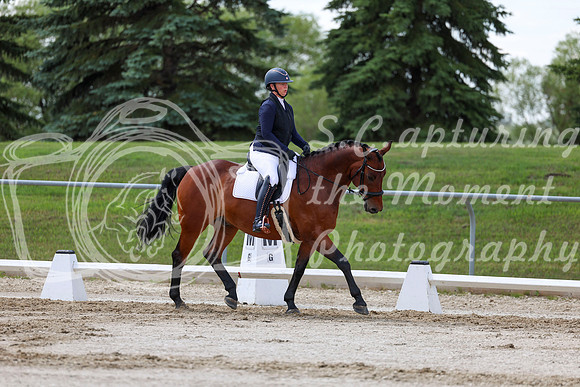 2025 - Dressage Festival - Saturday July 5th - 09741