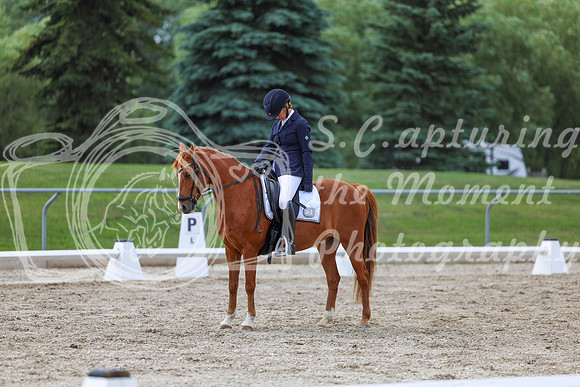 2025 - Dressage Festival - Saturday July 5th - 13764