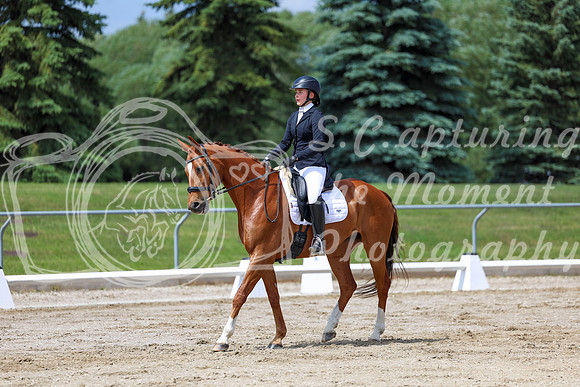 2025 - Dressage Festival - Saturday July 5th - 07845