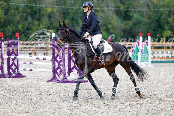 2025 - Haylee - Picco Horse Show - Saturday July 26th 05681