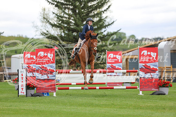 2025 - Shea - Bow Valley II - Thursday May 15th - 00584