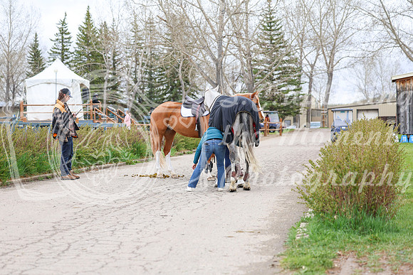 2025 - Shea - Bow Valley II - Thursday May 15th - 00496