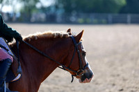 2025 - Dressage Festival - Saturday July 5th - 00020