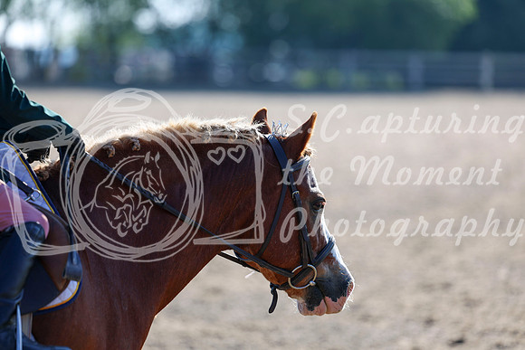 2025 - Dressage Festival - Saturday July 5th - 00020