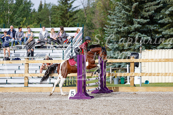 2025 - Haylee - Picco Horse Show - Friay July 25th 00868