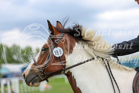 2025 - Shea - Teesdale - Friday July 25th - 07108