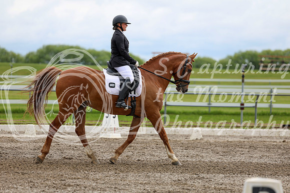 2025 - Dressage Festival - Sunday July 6th - 11101
