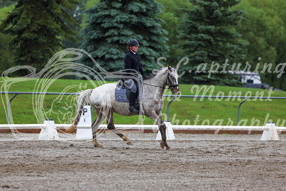 2025 - Dressage Festival - Sunday July 6th - 02292