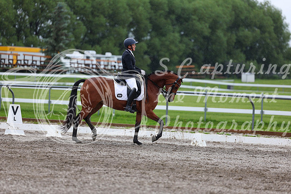 2025 - Dressage Festival - Sunday July 6th - 06701