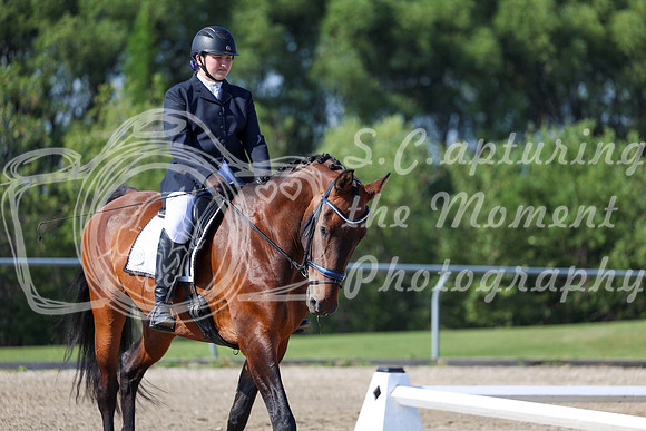 2025 - Dressage Festival - Saturday July 5th - 00961