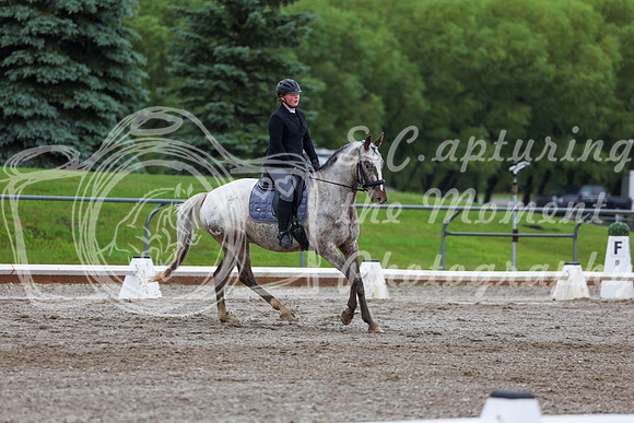 2025 - Dressage Festival - Sunday July 6th - 02297