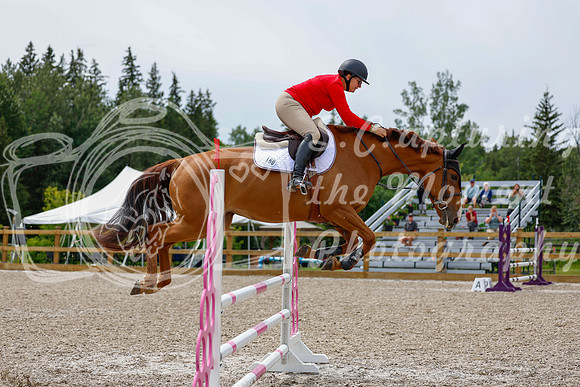 2025 - Haylee - Picco Horse Show - Friay July 25th 03311