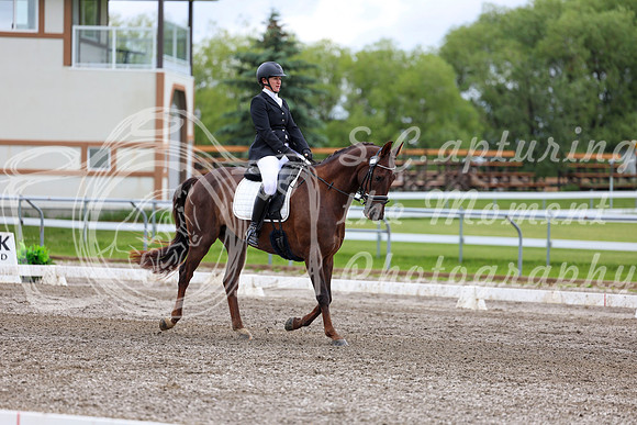 2025 - Dressage Festival - Sunday July 6th - 09578