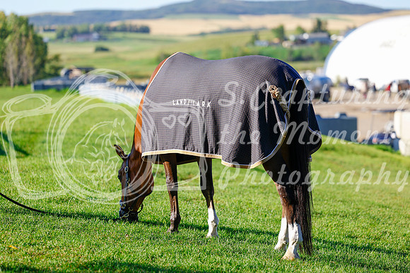 2025 - Haylee - Rocky Mountain Classic III - Thursday August 21st - 03104
