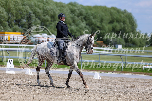 2025 - Dressage Festival - Saturday July 5th - 09013