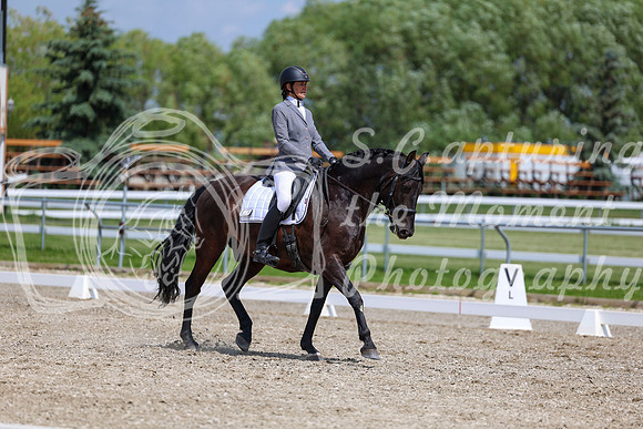 2025 - Dressage Festival - Saturday July 5th - 10299