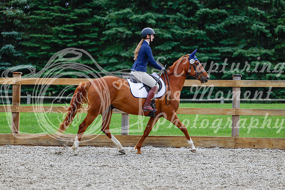 2025 - Haylee - Picco Horse Show - Saturday July 26th 01741