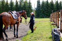 2025 - Haylee - Picco Horse Show - Friay July 25th 00751