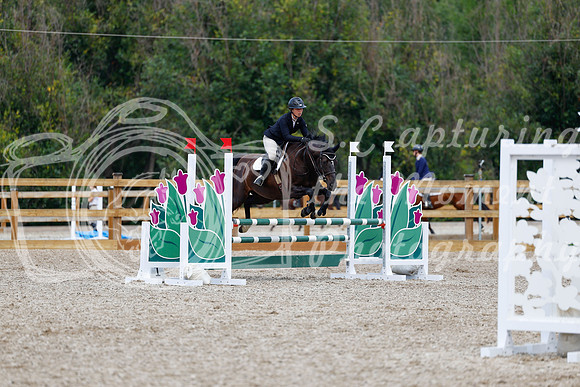 2025 - Haylee - Picco Horse Show - Saturday July 26th 05940