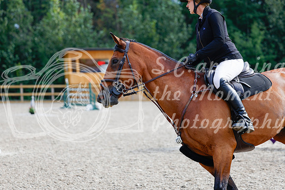 2025 - Haylee - Picco Horse Show - Saturday July 26th 08723