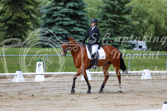 2025 - Dressage Festival - Saturday July 5th - 07298