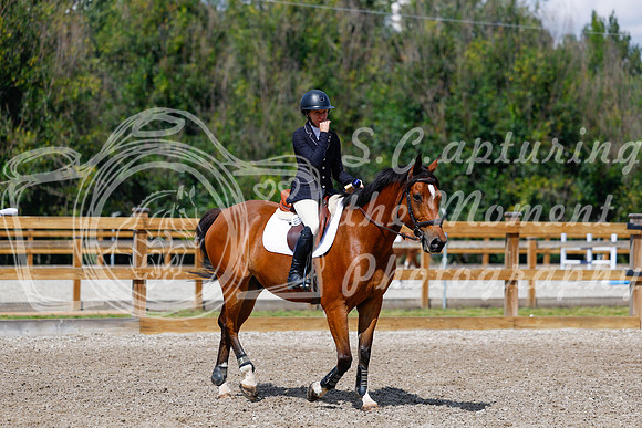 2025 - Haylee - Picco Horse Show - Sunday July 27th 05544