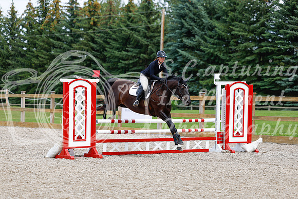 2025 - Haylee - Picco Horse Show - Saturday July 26th 05948