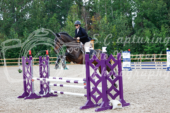 2025 - Haylee - Picco Horse Show - Saturday July 26th 05302