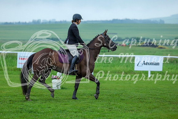 2025 - Shea - Teesdale - Saturday July 26th - 02426