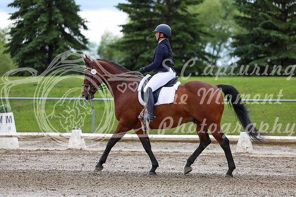 2025 - Dressage Festival - Sunday July 6th - 11800