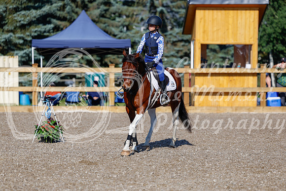 2025 - Haylee - Picco Horse Show - Thursday July 24th 00549