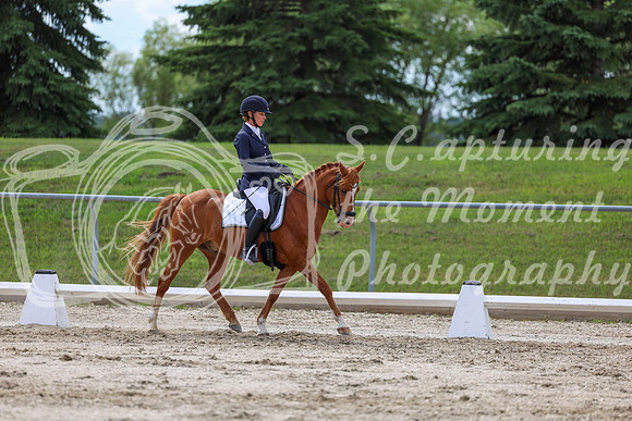 2025 - Dressage Festival - Saturday July 5th - 13803