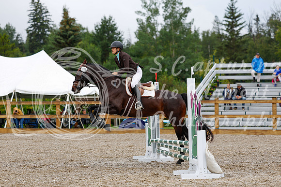 2025 - Haylee - Picco Horse Show - Sunday July 27th 00899