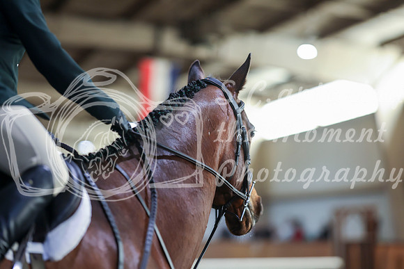 2025 - HJ Schooling - Saturday March 22nd - 7399