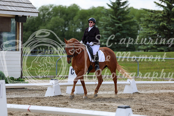 2025 - Dressage Festival - Saturday July 5th - 09607
