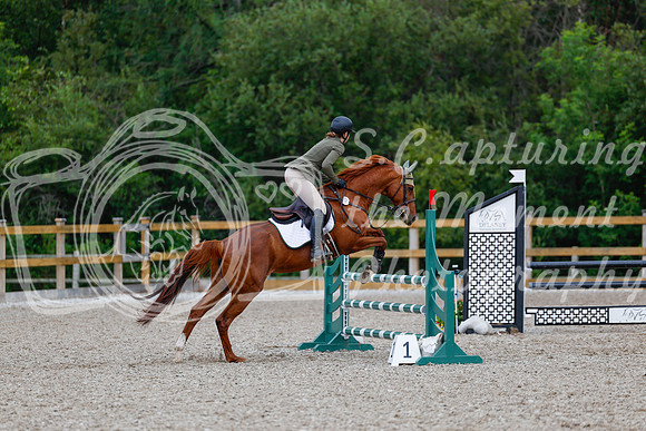 2025 - Haylee - Picco Horse Show - Sunday July 27th 03634