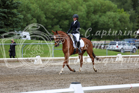 2025 - Dressage Festival - Sunday July 6th - 12260