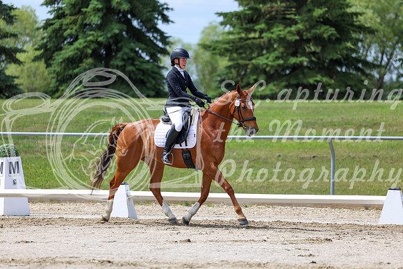 2025 - Dressage Festival - Saturday July 5th - 07869
