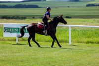 2025 - Shea - Teesdale - Friday July 25th - 05177