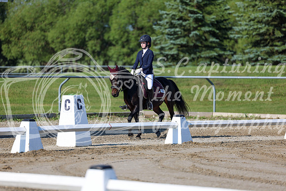 2025 - Dressage Festival - Saturday July 5th - 00643